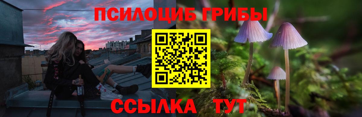 Галлюциногенные грибы GOLDEN TEACHER  Вход с VPN  Янаул 